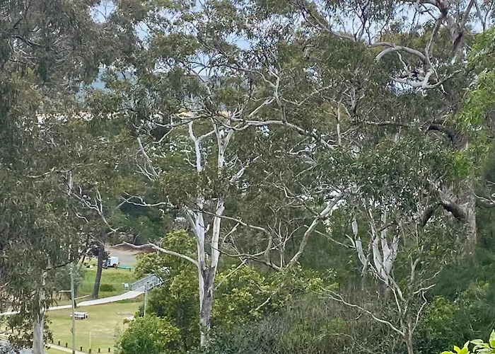 Tathra Views